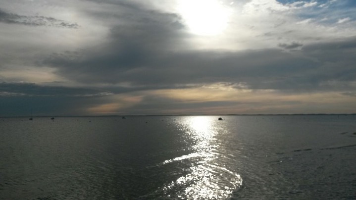 Bassin D'Arcachon bij Lanton.jpeg