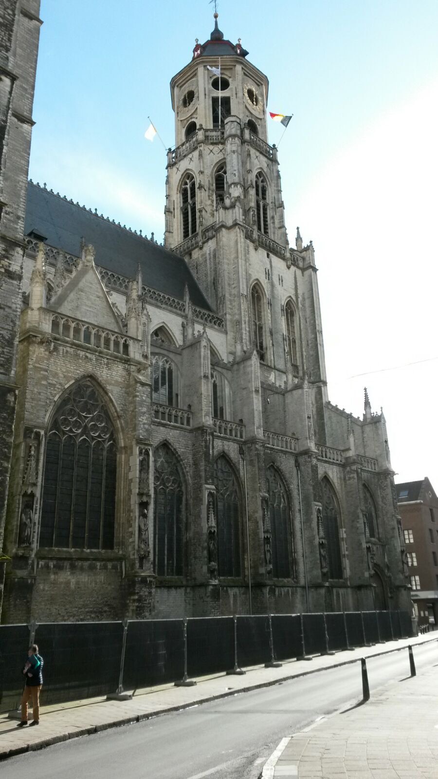 De St. Gummaruskerk in Lier.jpeg